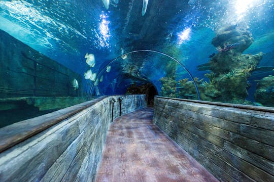 L'aquarium national de Malte - billet