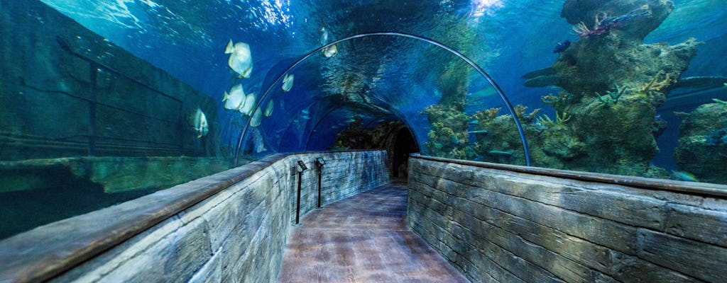 Malta National Aquarium Ticket