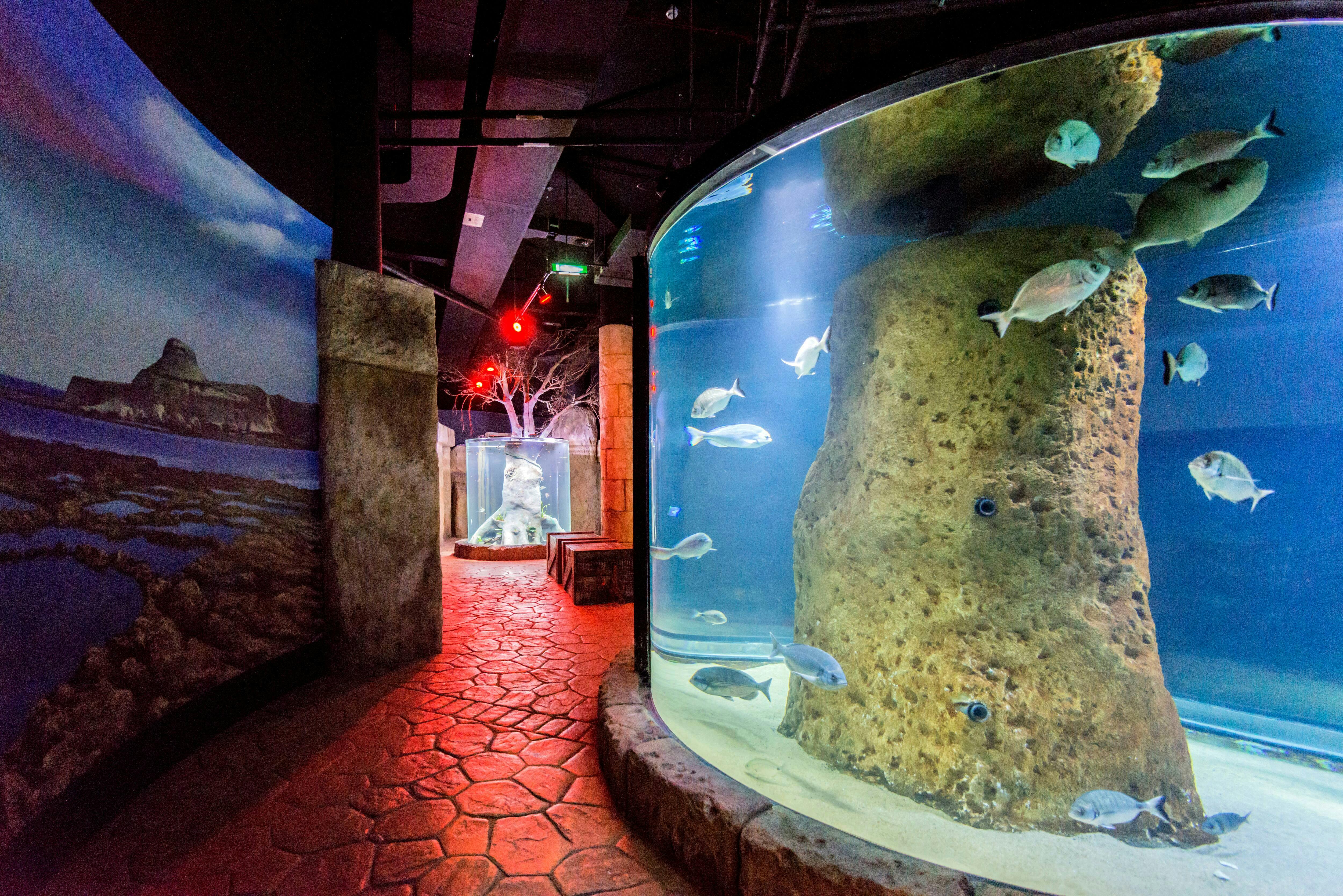 Malta National Aquarium Ticket