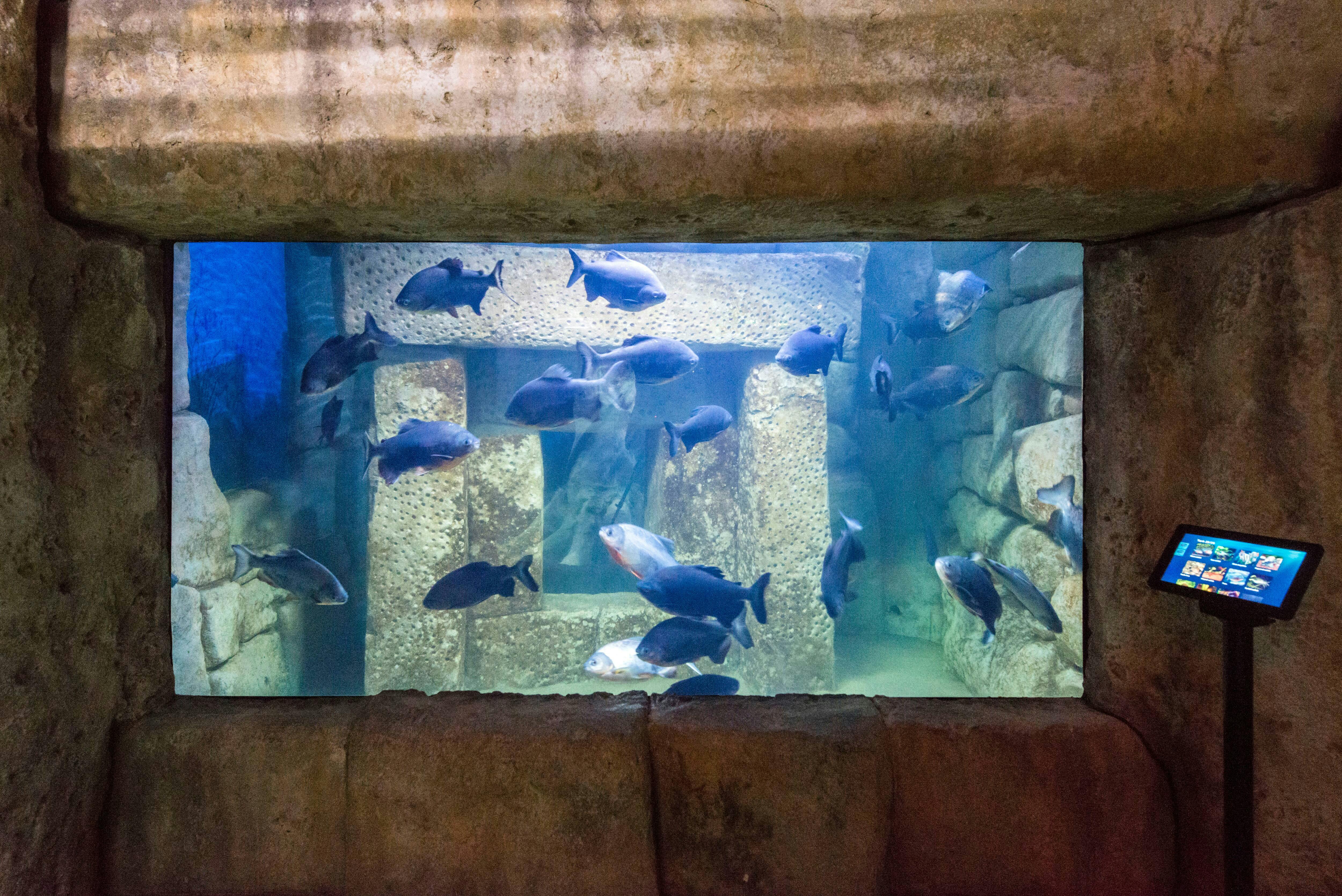 Malta National Aquarium Ticket