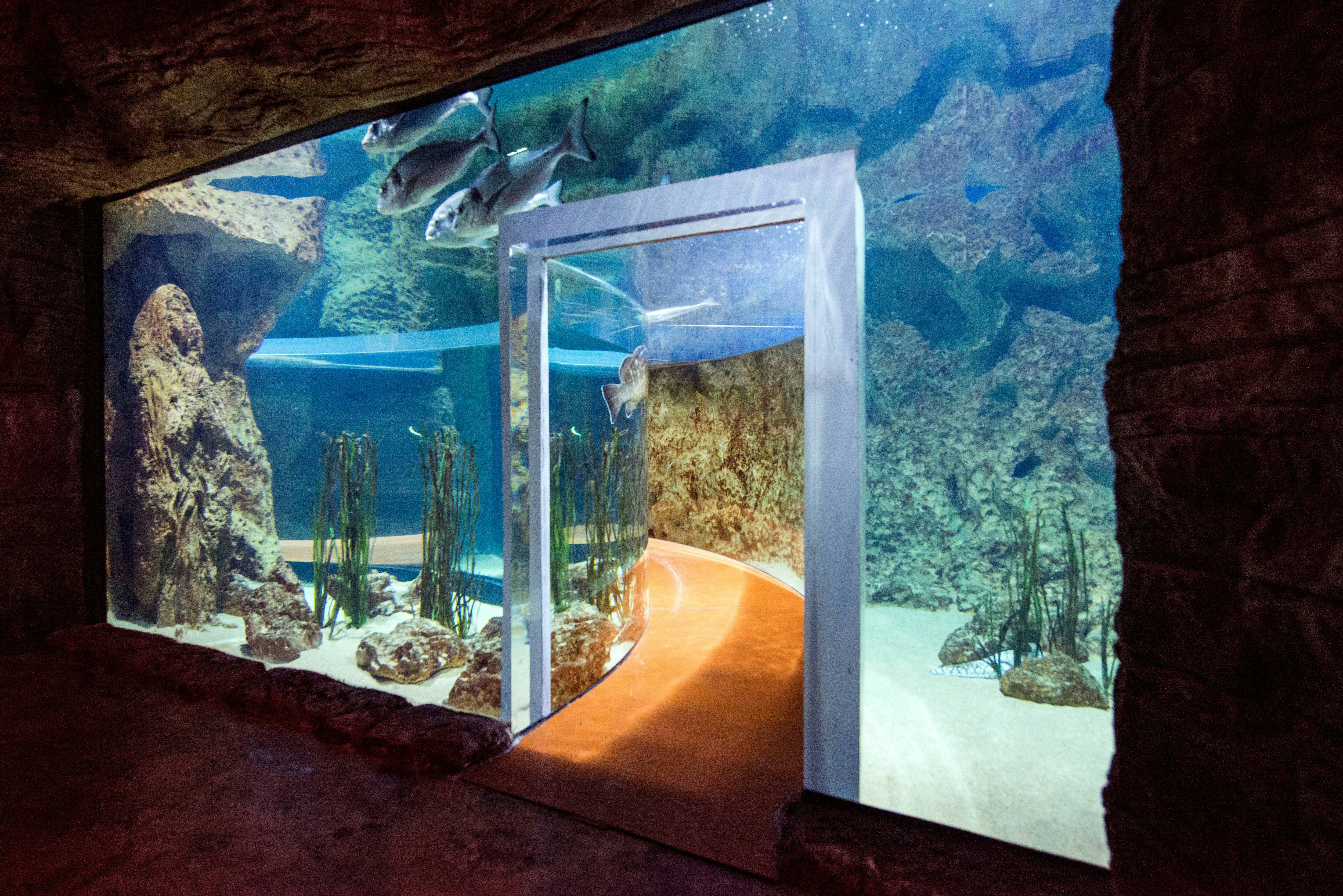 Malta National Aquarium Ticket