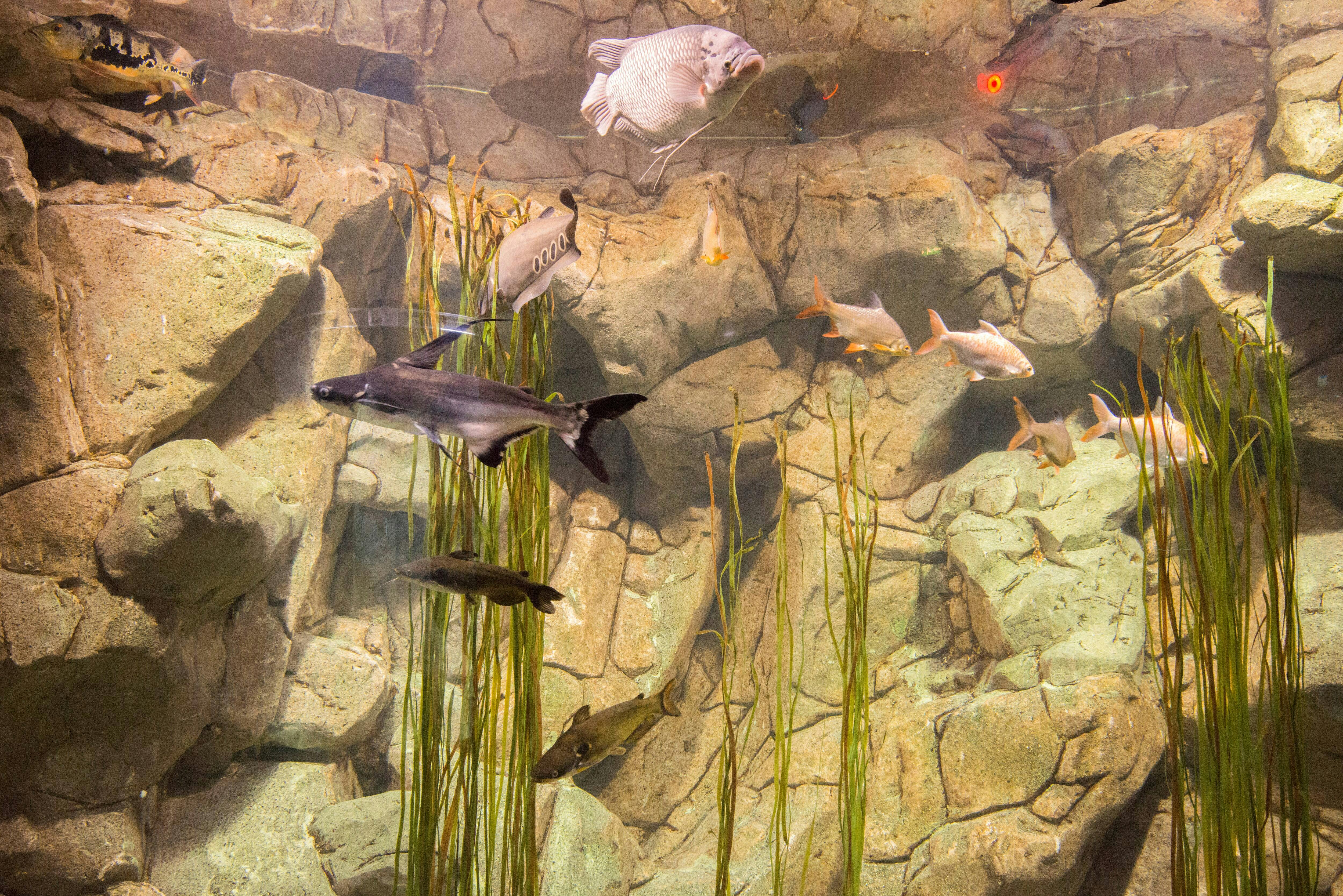 Malta National Aquarium Ticket
