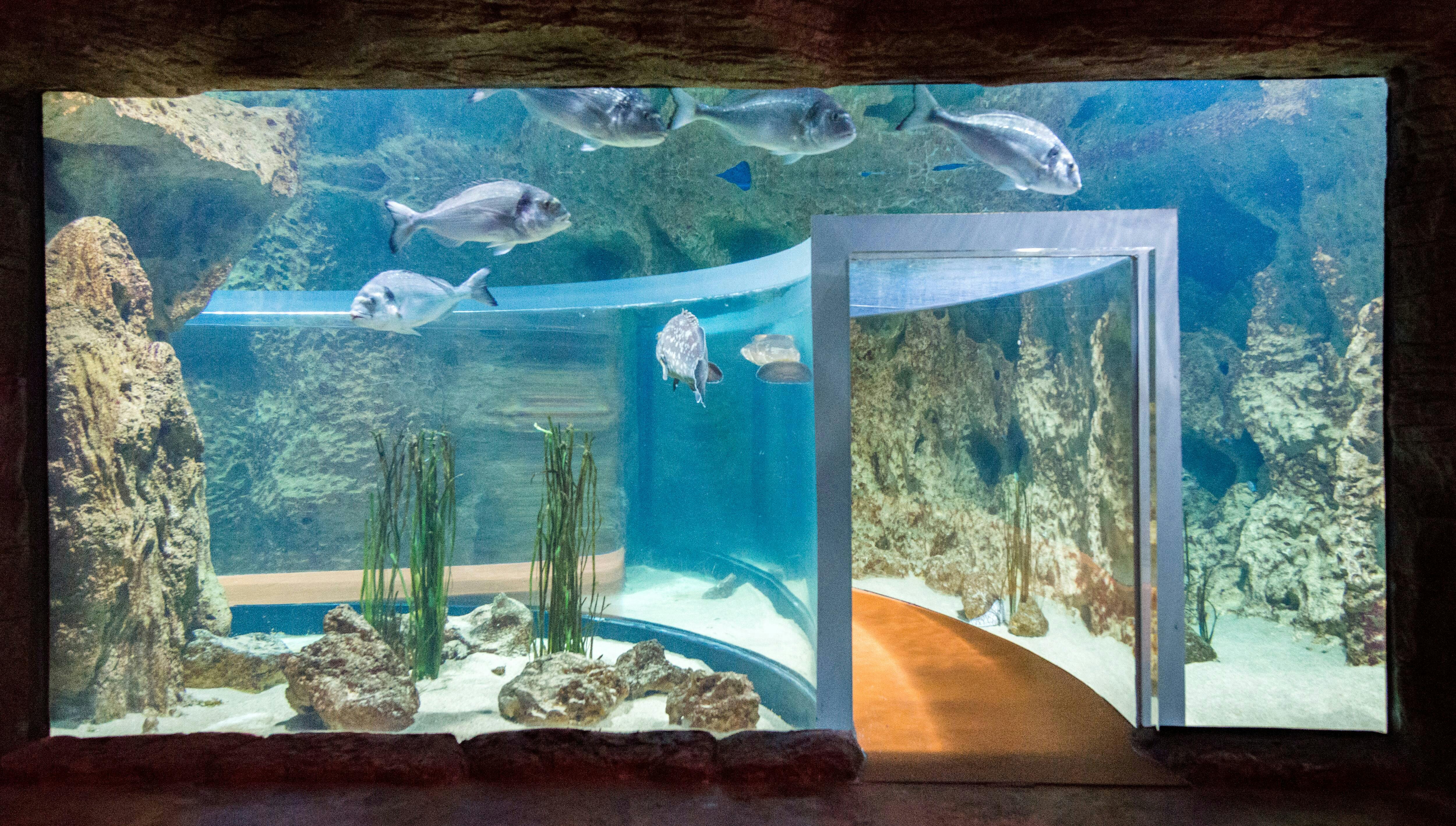 Malta National Aquarium Ticket