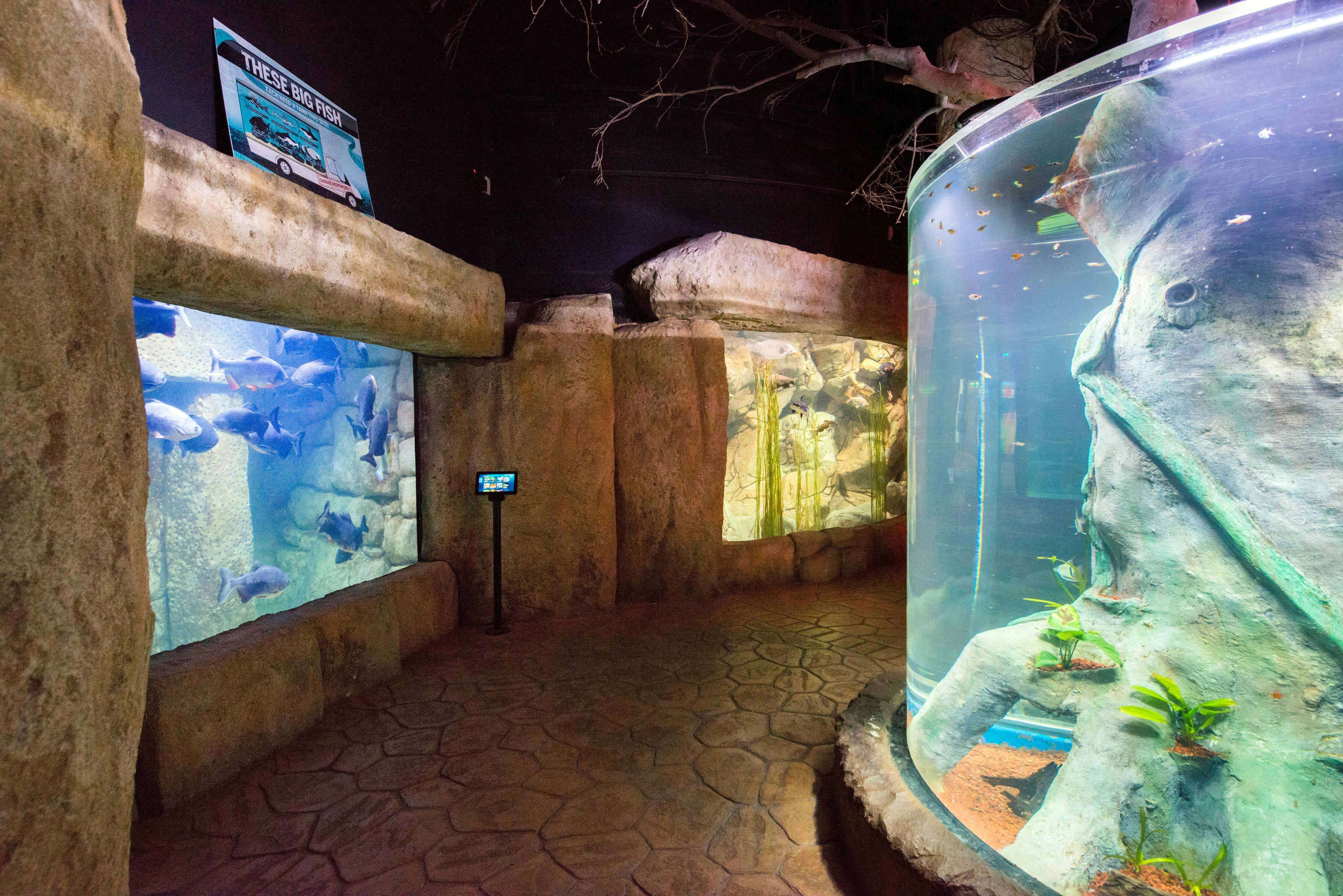 Malta National Aquarium Ticket