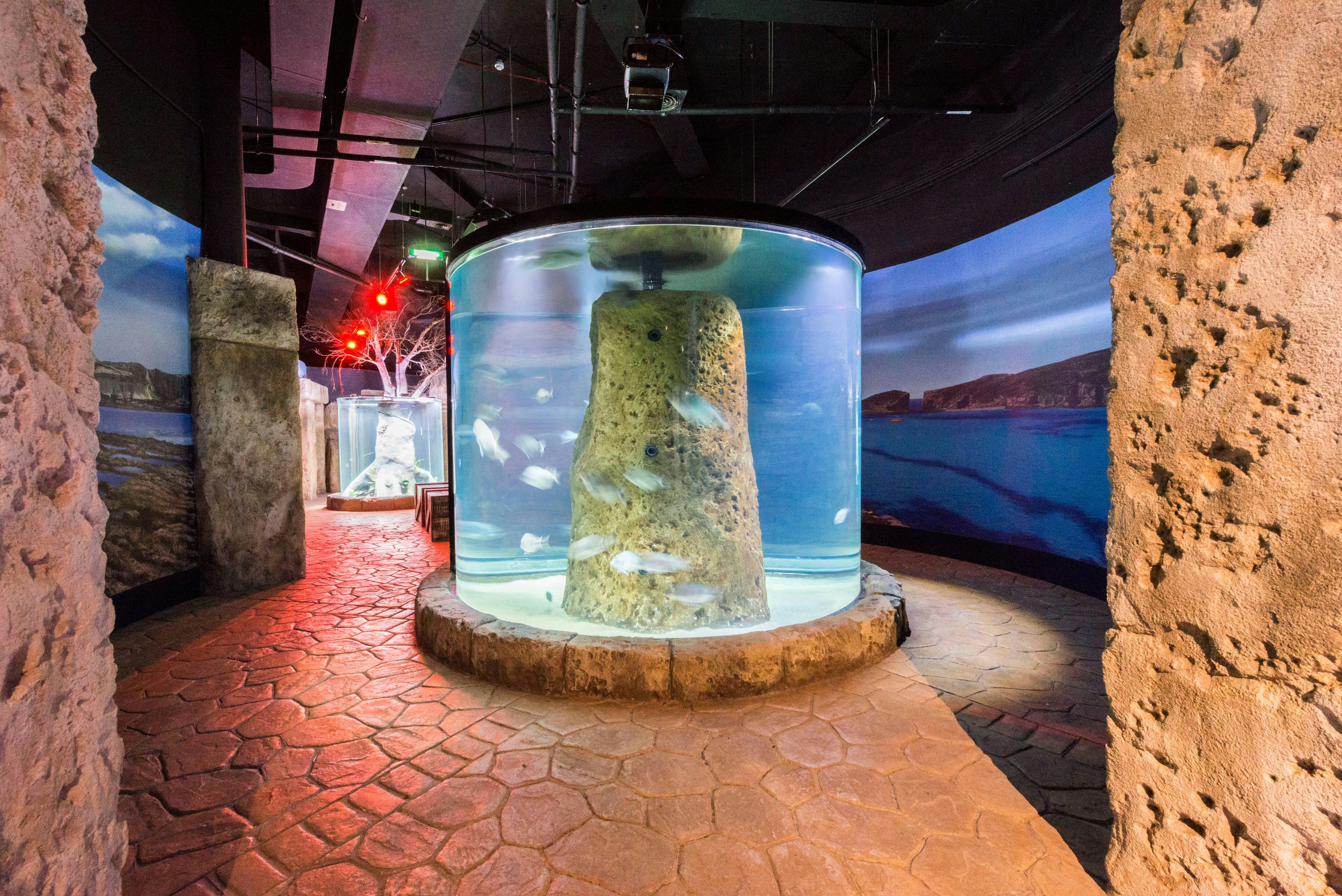 Malta National Aquarium Ticket