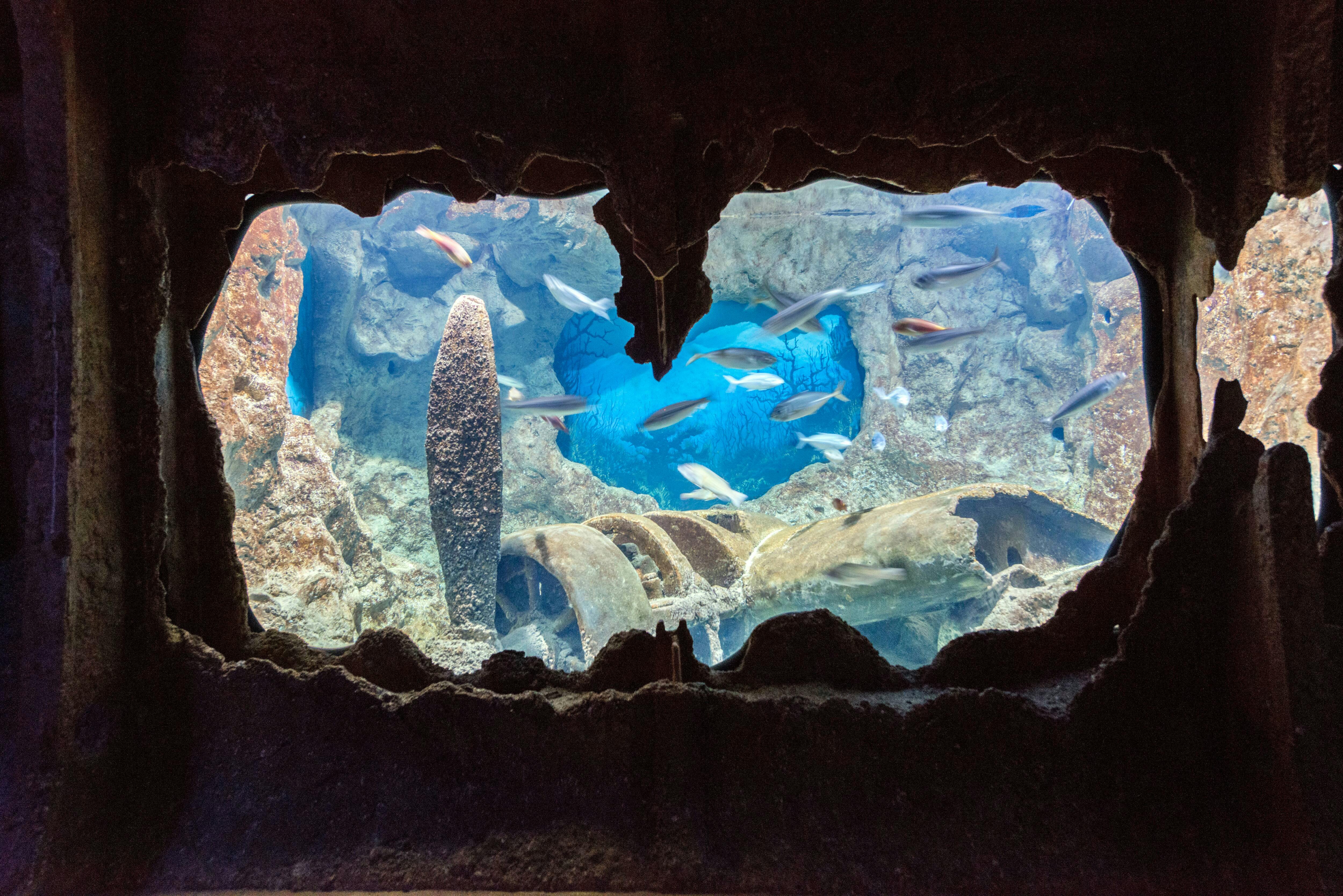 Malta National Aquarium Ticket