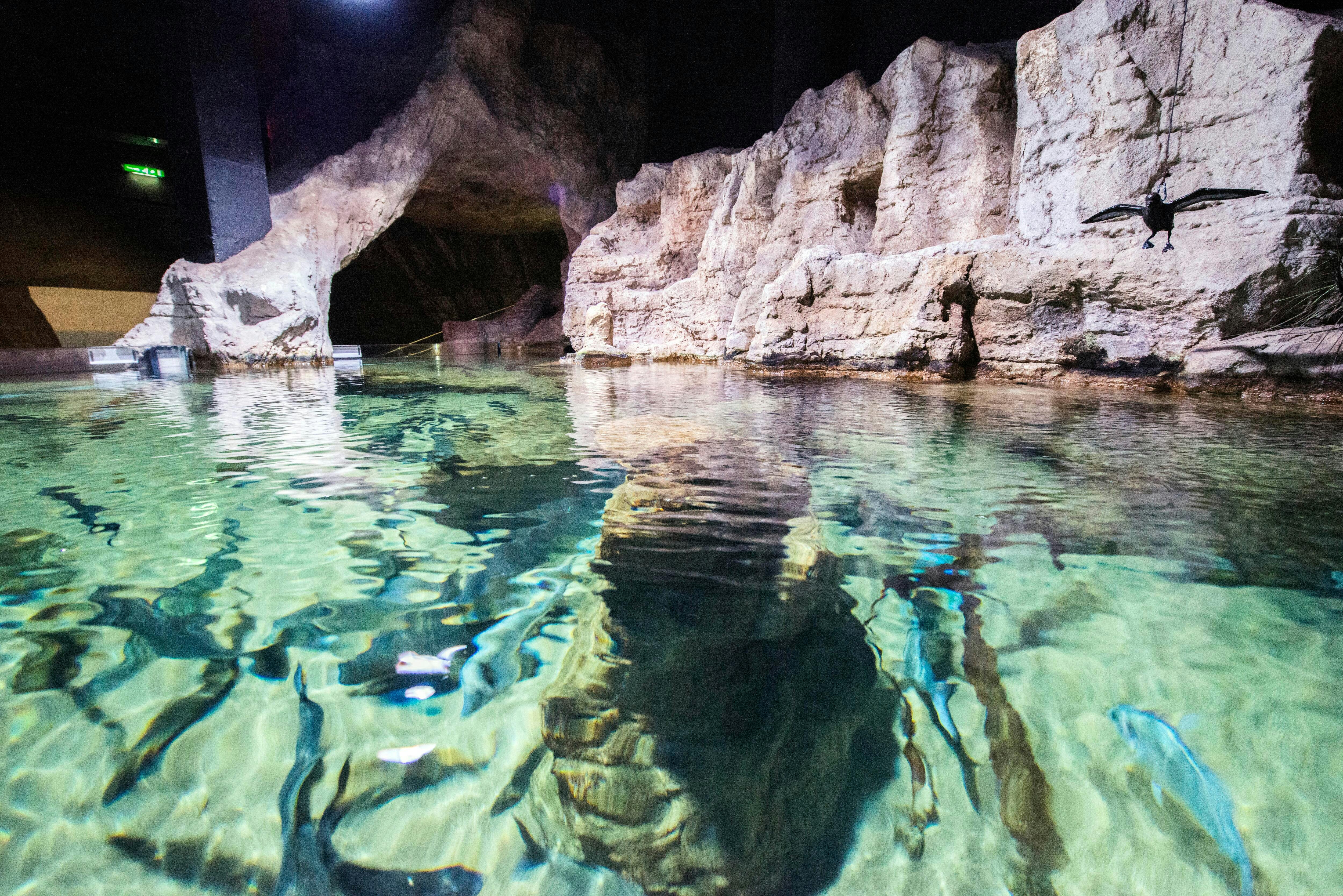 Malta National Aquarium Ticket