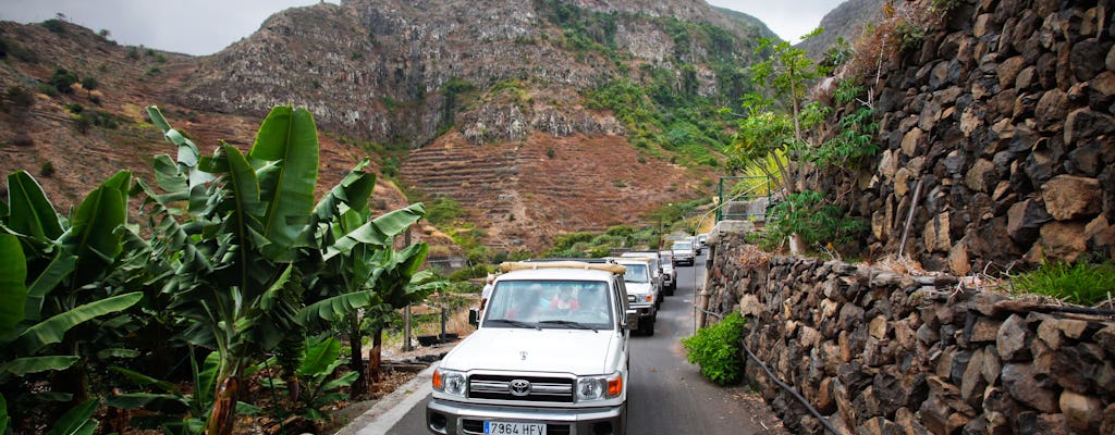 La Gomera 4x4 Safari Tour from the South