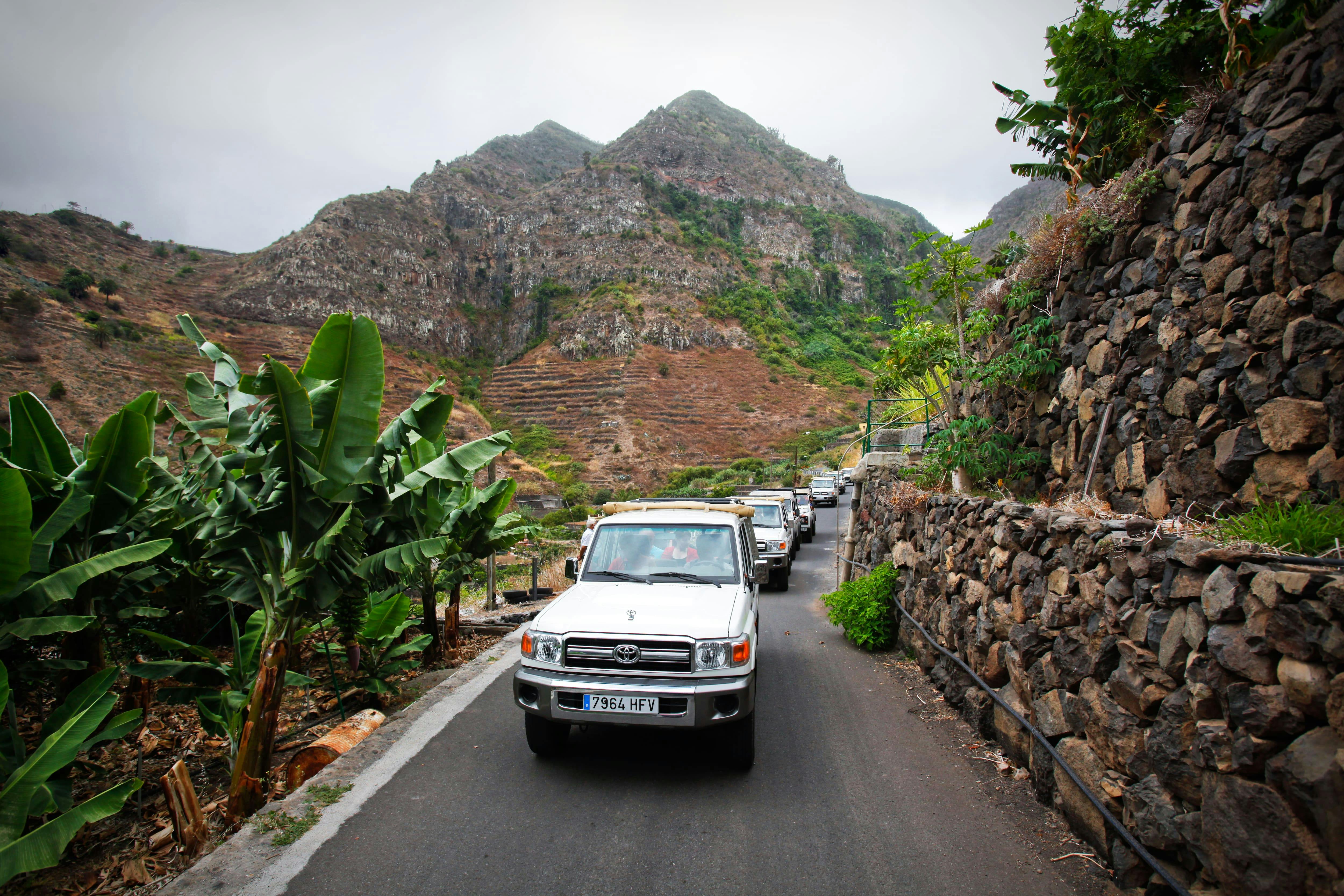 Visite de l'île de La Gomera en 4x4 au départ du sud