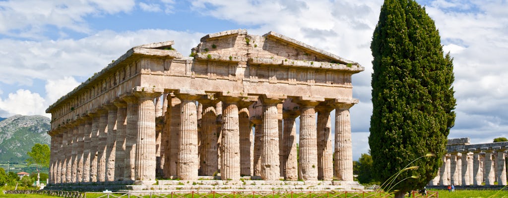 Visita guiada a Paestum y degustación de mozzarella desde Salerno.