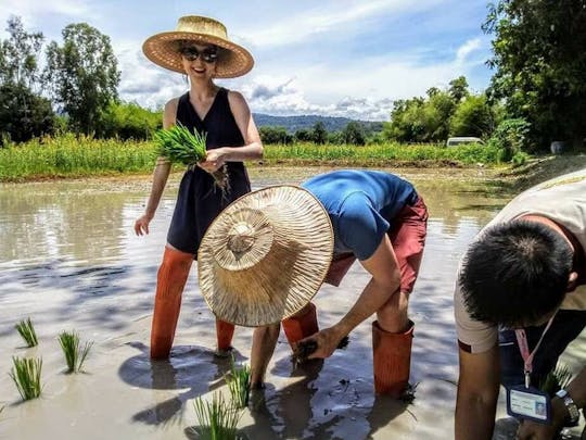 Thai Nature and Culture at Nakhon Nayok