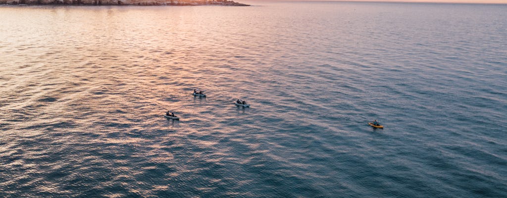 Kajaktocht op zeegrotten in La Jolla