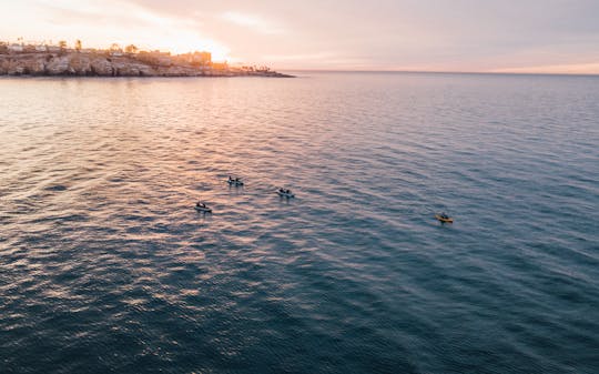 La Jolla sea cave kayak tour