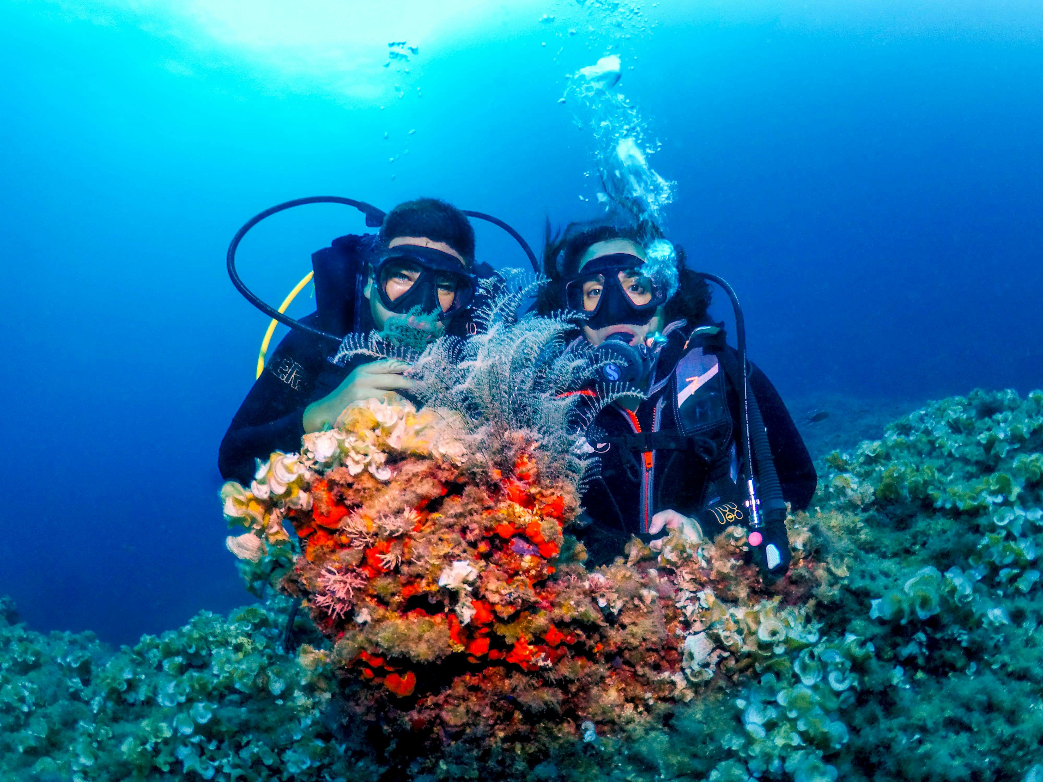 Double Dive with Equipment in Majorca