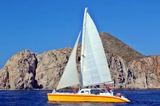 Jazz & Wine Sunset Dinner Catamaran Cruise