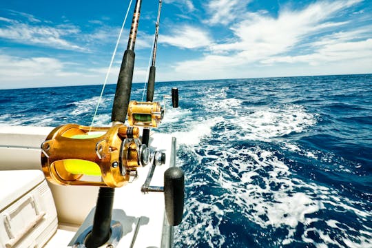 Sortie de pêche en hors-bord à Bayahibe avec Viva