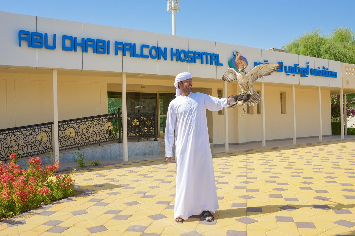 Abu Dhabi Falcon-ziekenhuistour