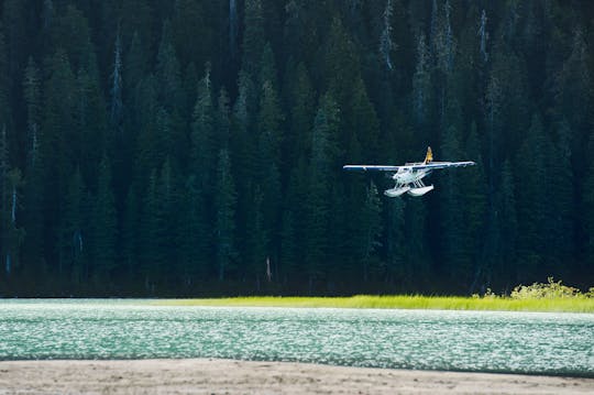 Tour in idrovolante nella valle di Whistler