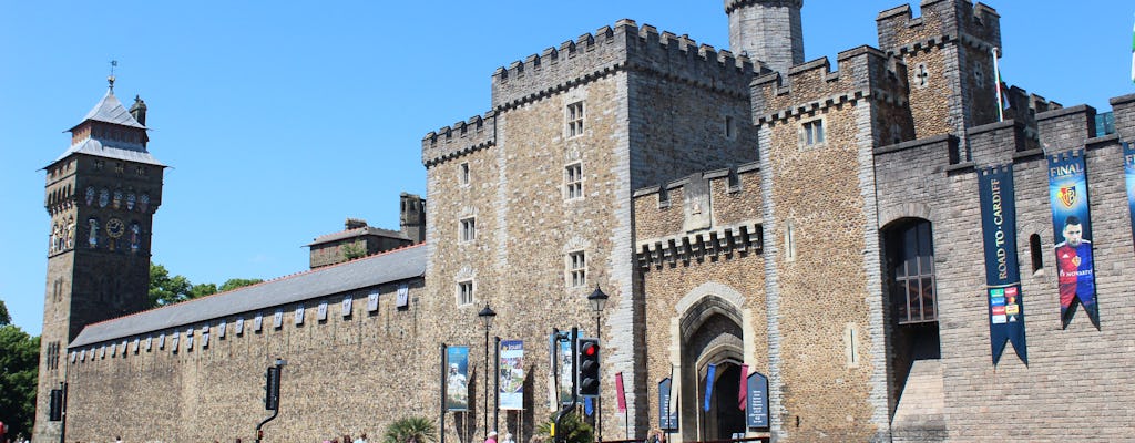 Visite privée à pied de Cardiff avec la baie de Cardiff