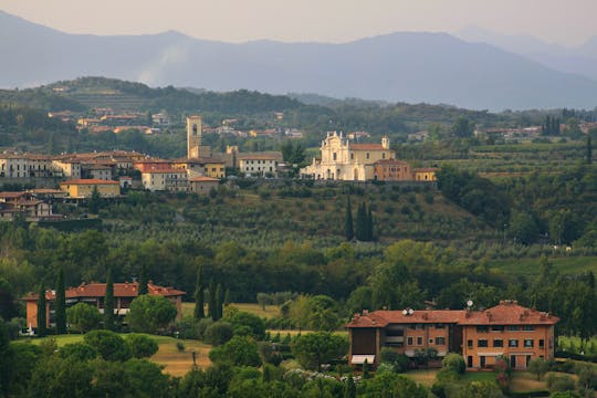 Dégustation de vins biologiques et visite de la ferme dans la région de Valtenesi