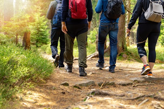 Tour privato a piedi e picnic vicino a Todi