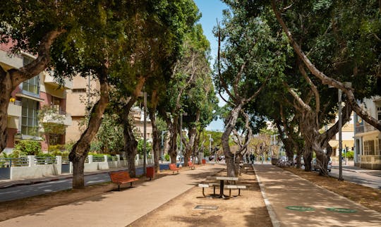 Tour dei quartieri moderni di Tel Aviv