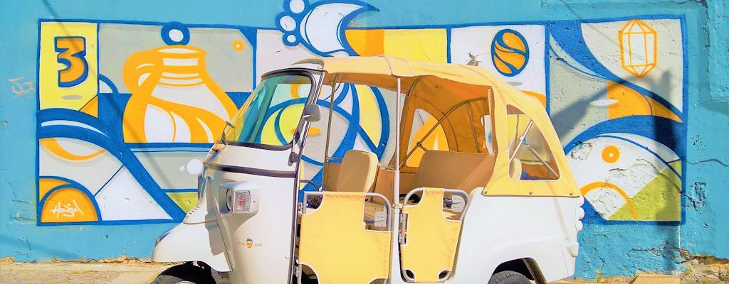 Tour privato di un'intera giornata a Porto su un tuk-tuk