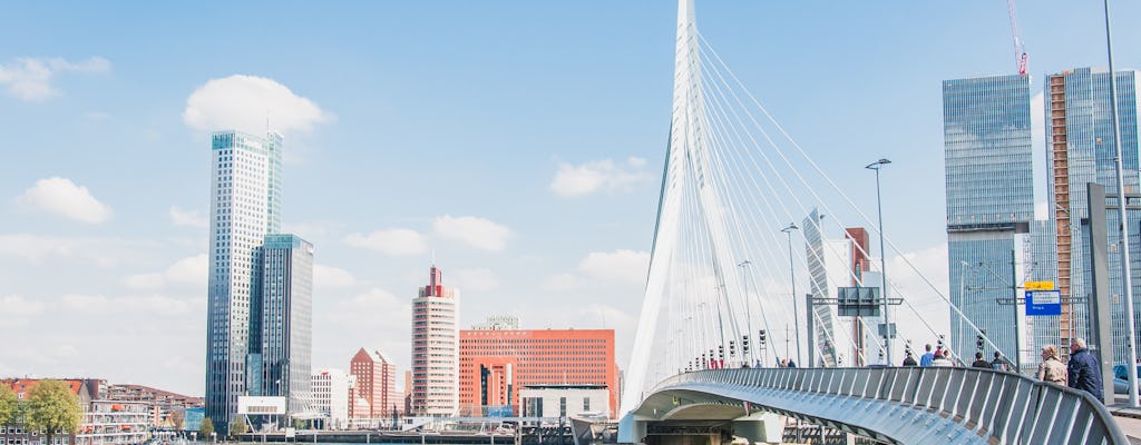 Visite en bus privé de Rotterdam