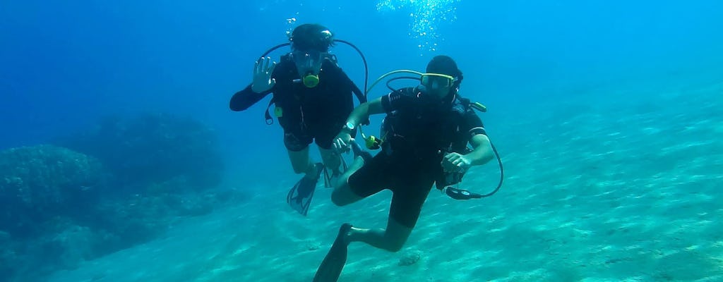 Snorkeling lub nurkowanie do Akrotiri