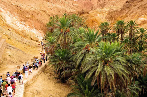 Tunisian Sahara Three Deserts & Oasis Overnight Tour