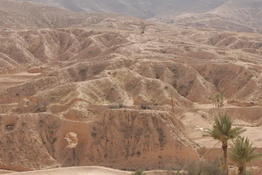 Tunisian Sahara Three Deserts & Oasis Overnight Tour