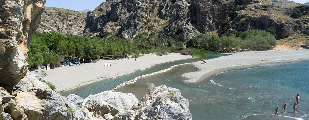 Tour of Preveli and Damnoni beaches and Plakias from Rethymno