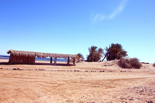 Ras Mohamed 4x4 en Snorkelen