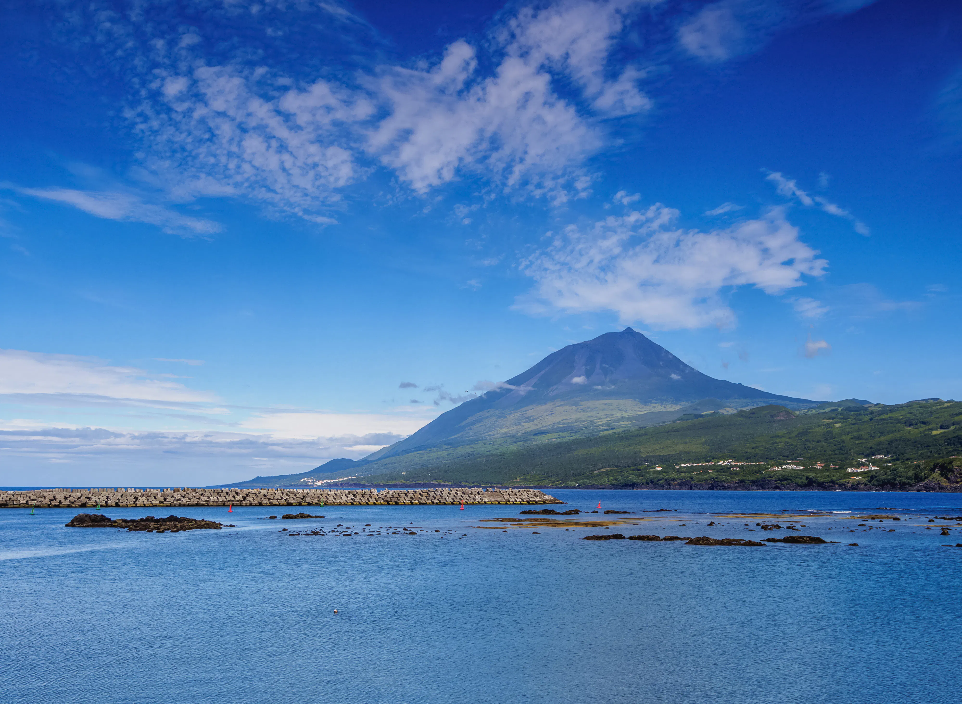 Pico