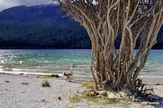 Tour of southern unspoiled Crete from Rethymno