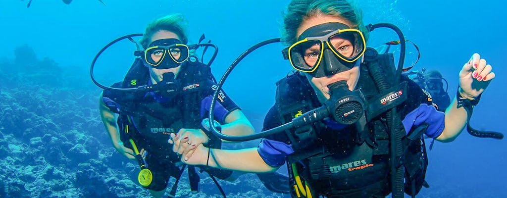 Scuba dive trip with transfer from Dubai