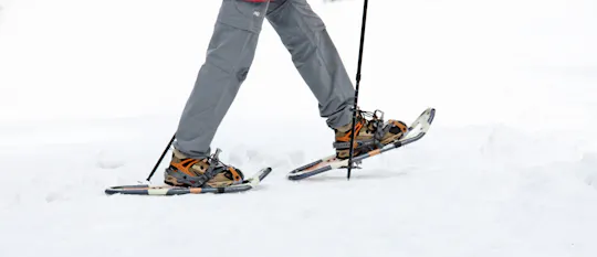 Private Tromsø snowshoeing tour with a TeslaX car ride