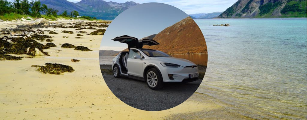Private fjord tour from Tromsø in a TeslaX car