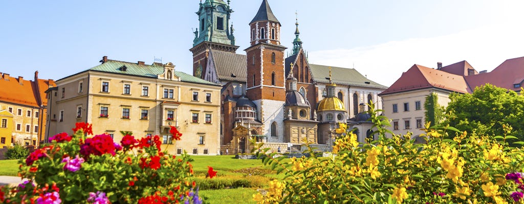 Tour de 5 horas sin colas por el castillo de Wawel con el casco antiguo