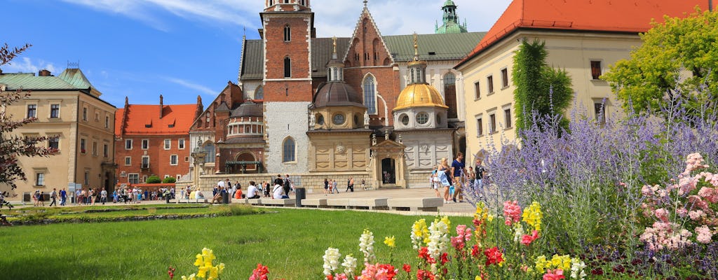 Eintrittskarte für die Wawelkathedrale und Führung