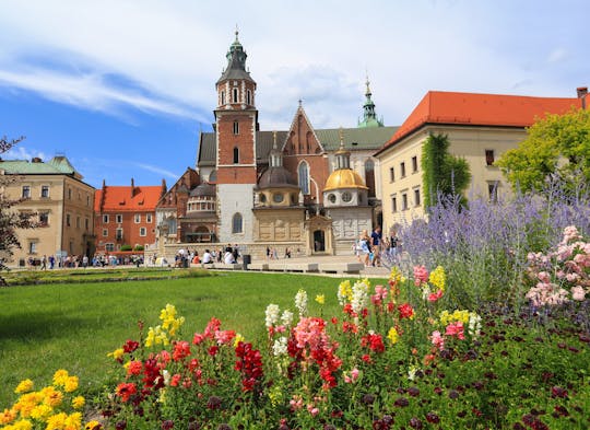 Wawel Cathedral entrance ticket and guided tour