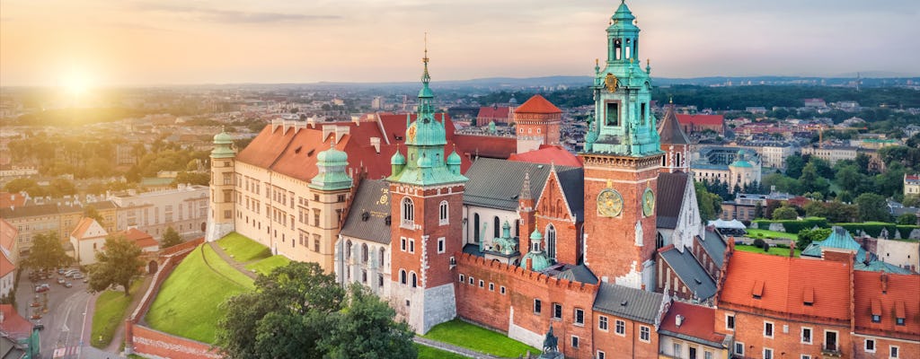 Visite coupe-file du château de Wawel avec State Rooms et Wawel Hill