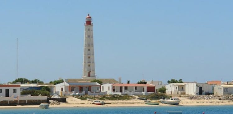 Dolphin watching and tour of 2 islands in Ria Formosa