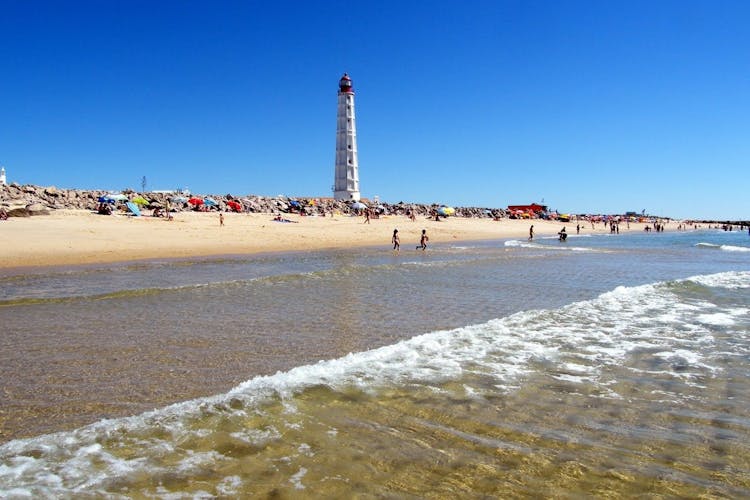 Dolphin watching and tour of 2 islands in Ria Formosa