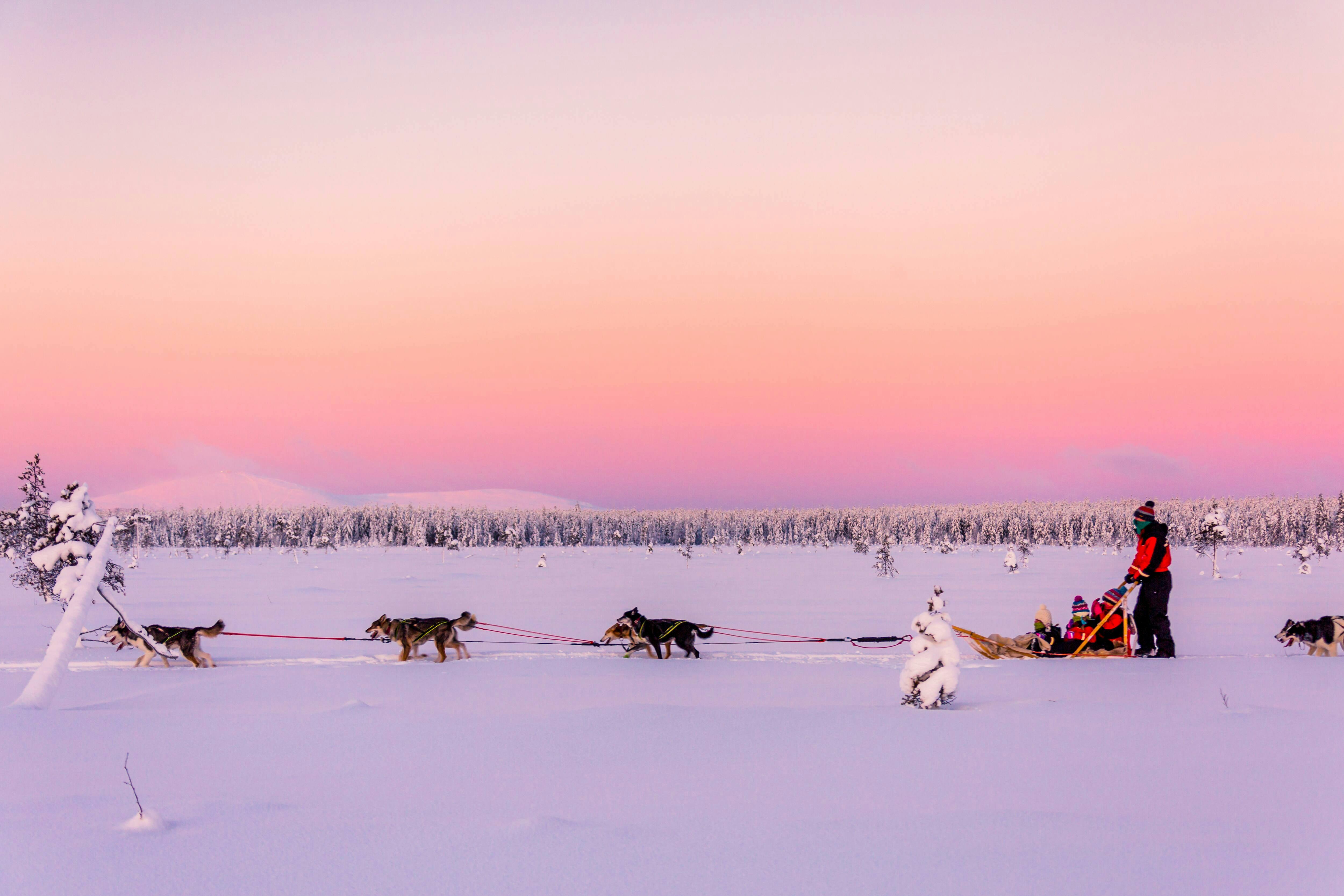 Excursión en trineo de Hetta Husky