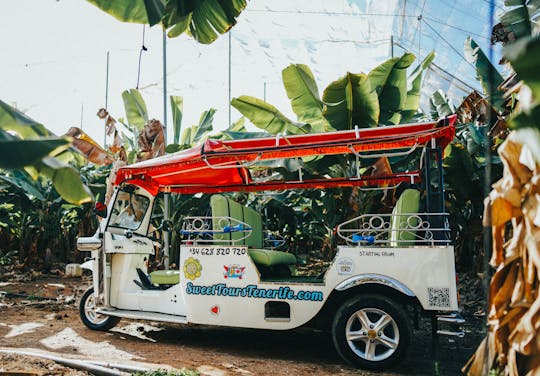 Visite en tuk-tuk avec belles vues et boissons à Costa Adeje