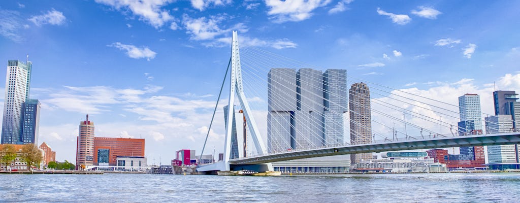 Visites guidées du pont Érasme musement