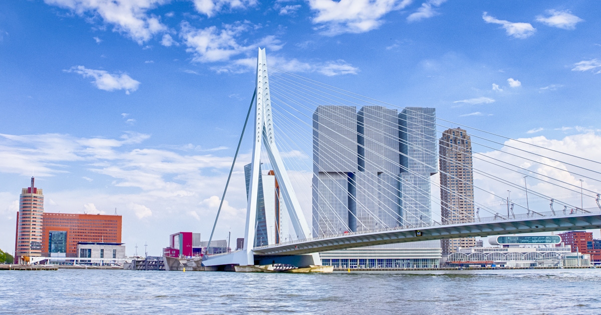 Erasmusbrug Guided Tours