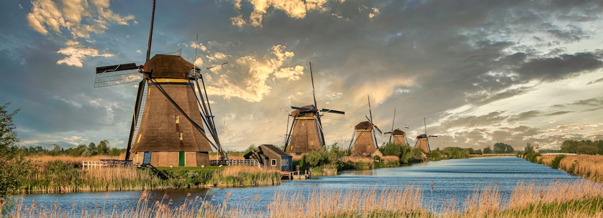 Kinderdijk Tickets and Guided Tours  musement