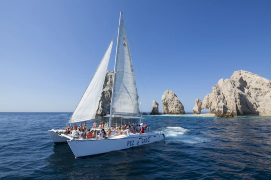 Snorkeling Tour in Los Cabos